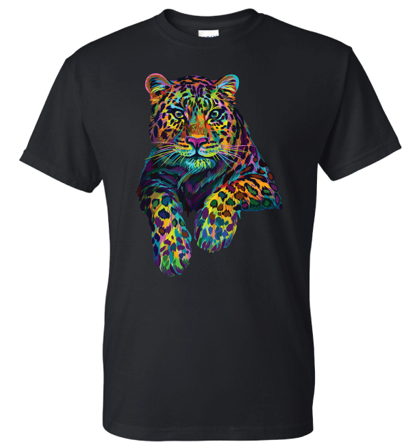 Rainbow Cheetah Pose