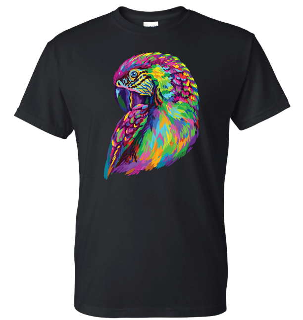 Rainbow Parrot Pose